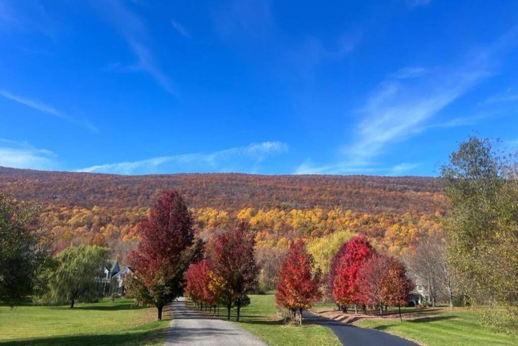 Malkita'S Mountain View Villa Woodbury  エクステリア 写真