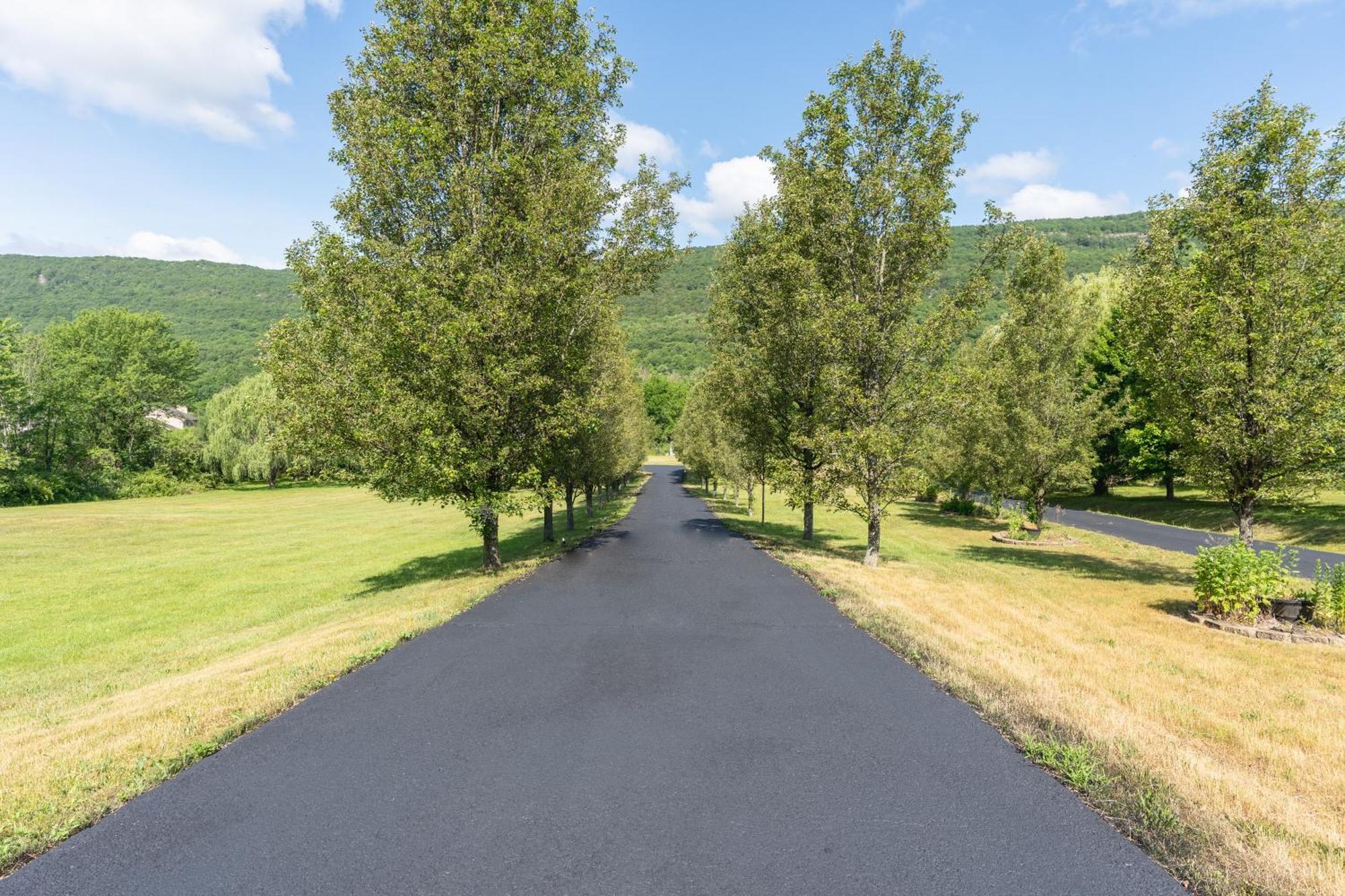 Malkita'S Mountain View Villa Woodbury  エクステリア 写真
